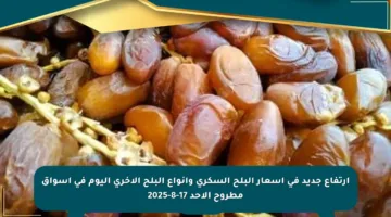 ارتفاع جديد في أسعار البلح السكري وأنواع البلح الأخرى اليوم في أسواق مطروح الأحد 17-8-2025